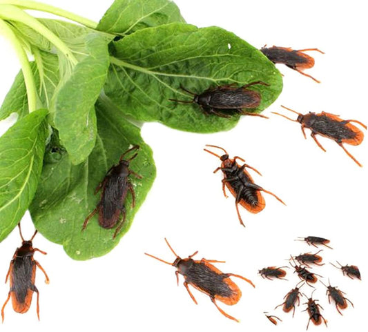 GUDVES Prank Fake Roaches Model Simulation Rubber Cockroach Roach Bug Toy Funny Trick Joke Toys Plastic Bugs (10PCS)