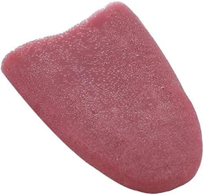 Realistic Fake Tongue Gross Jokes Prank Magic Tricks Halloween Horrific Magicians Props Fashion Processing Novelty Props
