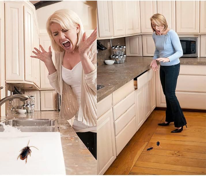 Riomeira Premium Fake Cockroaches, Realistic Lifelike Faux Roaches