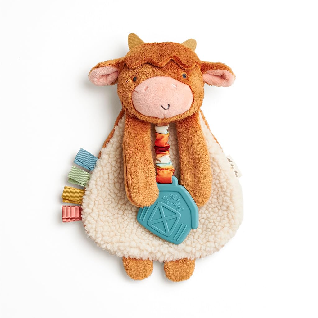 Itzy Ritzy Lovey Including Teether, Teething Relief, 0+ Months (Pink Bunny)