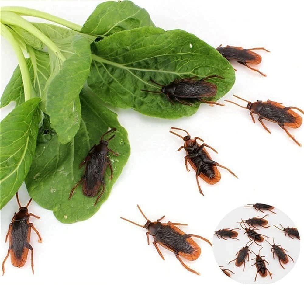 Ksquares Prank Fake Roaches, Favorite Trick Joke Toys Look Real, Scary Insects Realistic Plastic Bugs, Novelty Cockroach for Party, Christmas, Halloween (5)