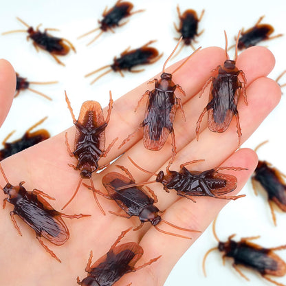Riomeira Premium Fake Cockroaches, Realistic Lifelike Faux Roaches