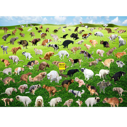 1000 Pieces Puzzles for Adults, Fall Seaside Puzzle 1000 Pieces