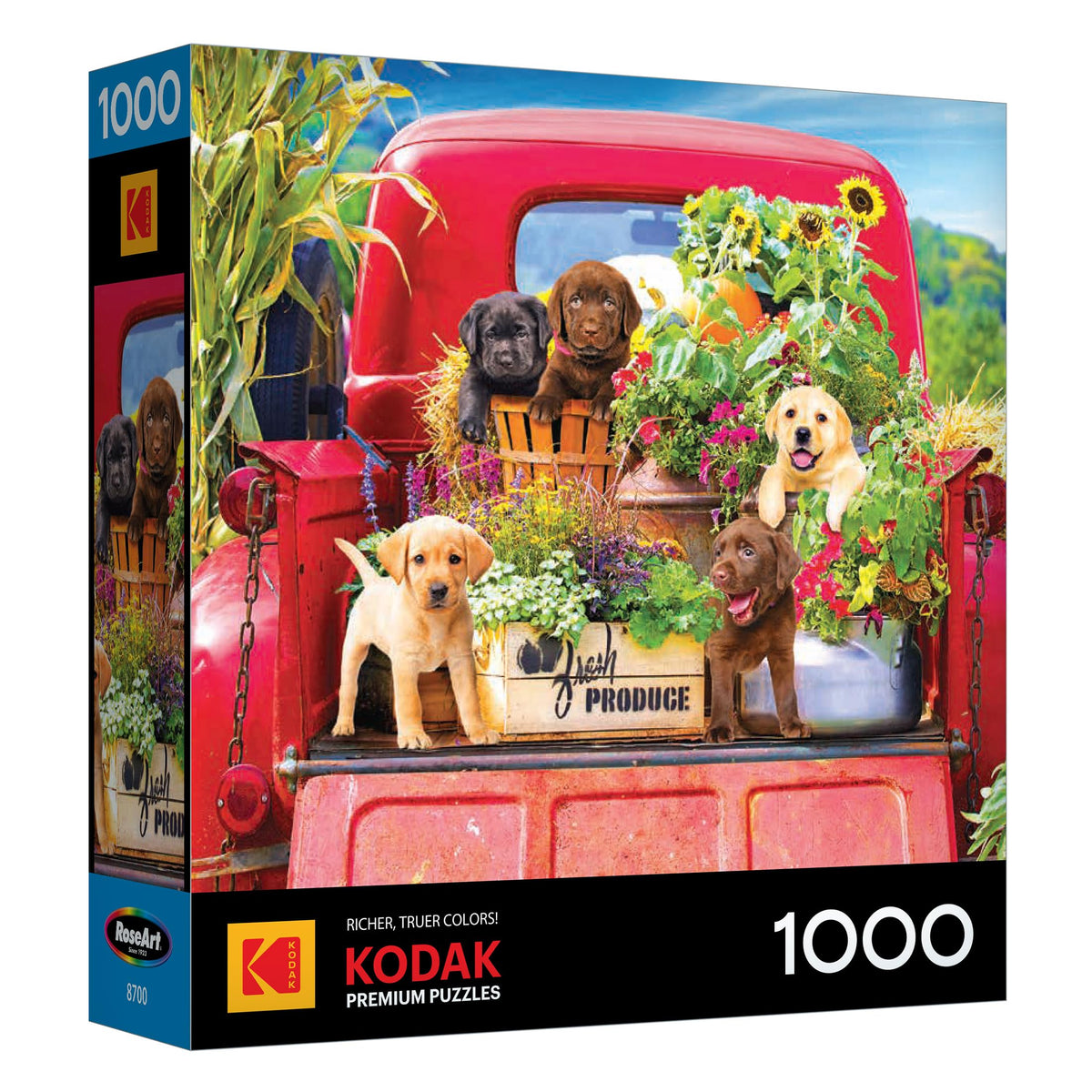 RoseArt Kodak Premium Family Beach Vacation 1000 Piece Jigsaw Puzzle