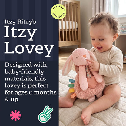 Itzy Ritzy Lovey Including Teether, Teething Relief, 0+ Months (Pink Bunny)
