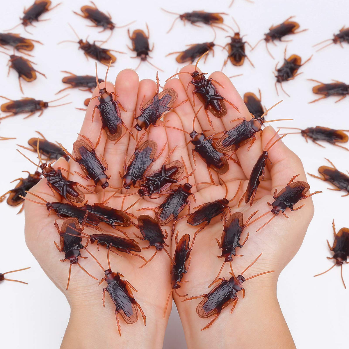 Riomeira Premium Fake Cockroaches, Realistic Lifelike Faux Roaches