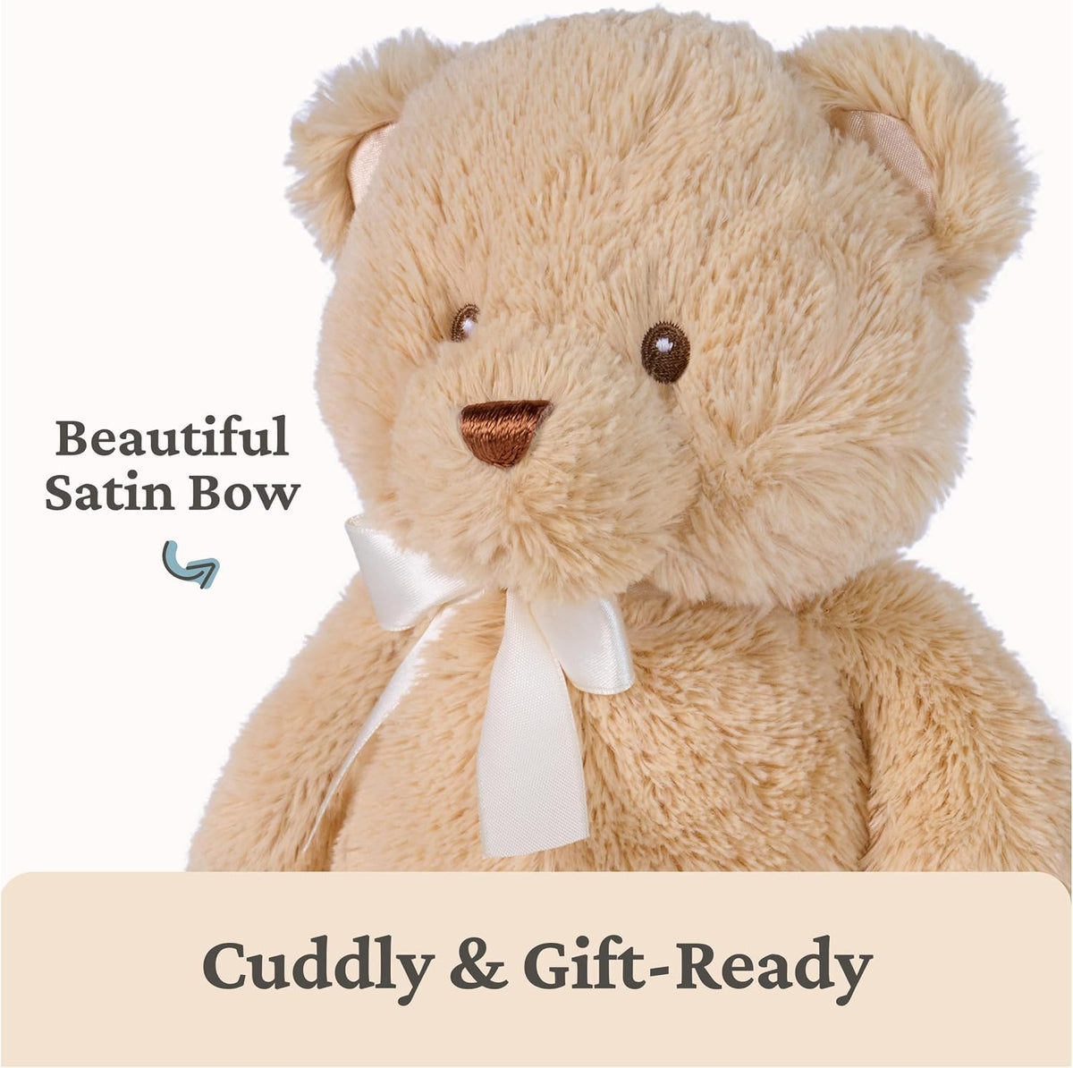 GUND My First Teddy Bear 10-Inch Tan Stuffed Animal for Ages 0+