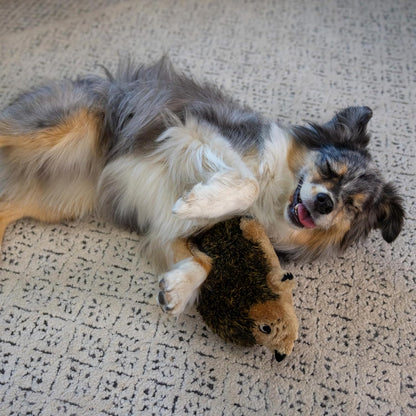 Outward Hound Hedgehogz Plush Dog Toy, Squeaks & Grunts, Medium, 9" x 6.5"